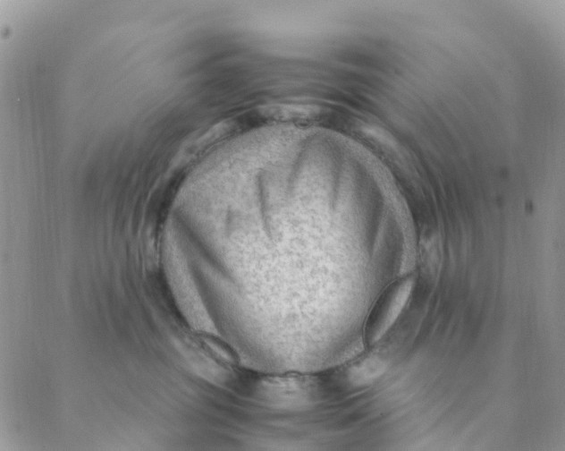 X0000089360381200707061055