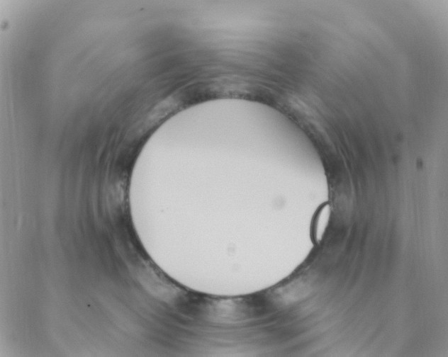 X0000089360382200707061055