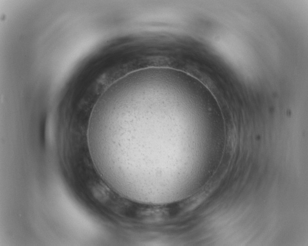 X0000089360383200707061055