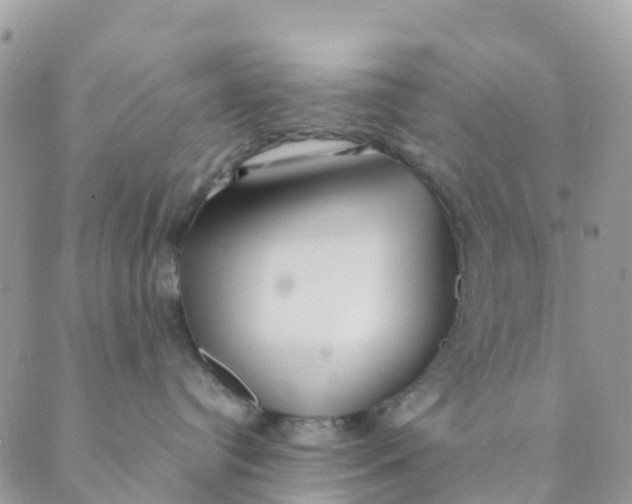 X0000089360384200707061055