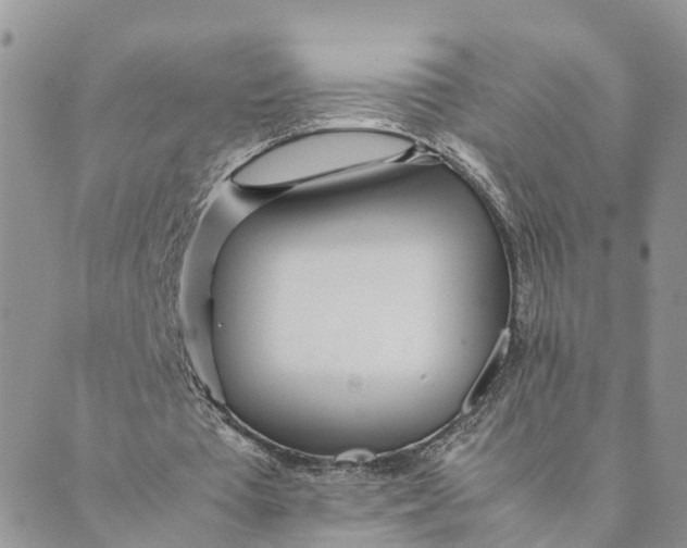 X0000089360385200707061055