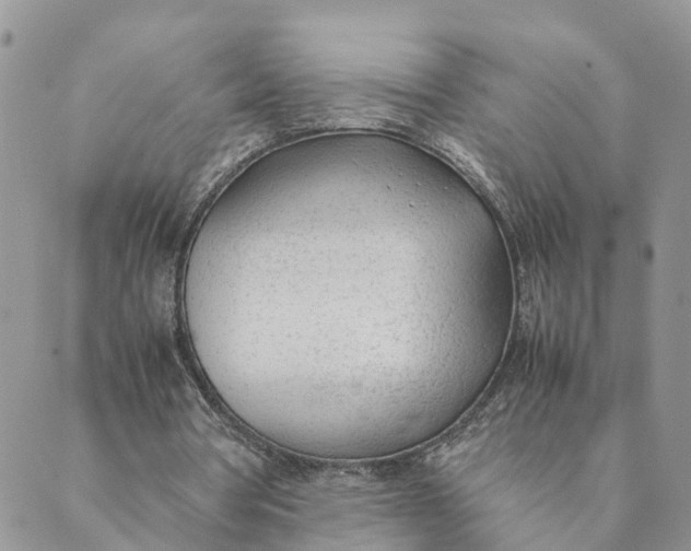 X0000089360386200707061055