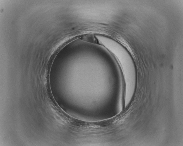 X0000089360387200707061055