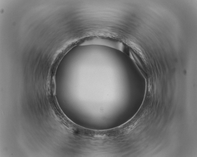 X0000089360388200707061055