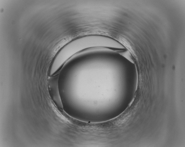 X0000089360389200707061054