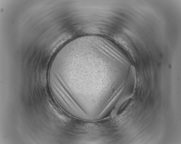 X0000089360390200707061054