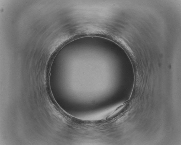 X0000089360391200707061054