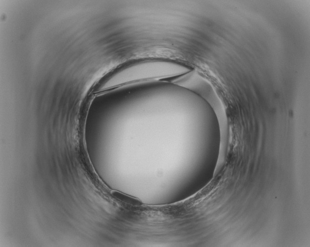 X0000089360392200707061054