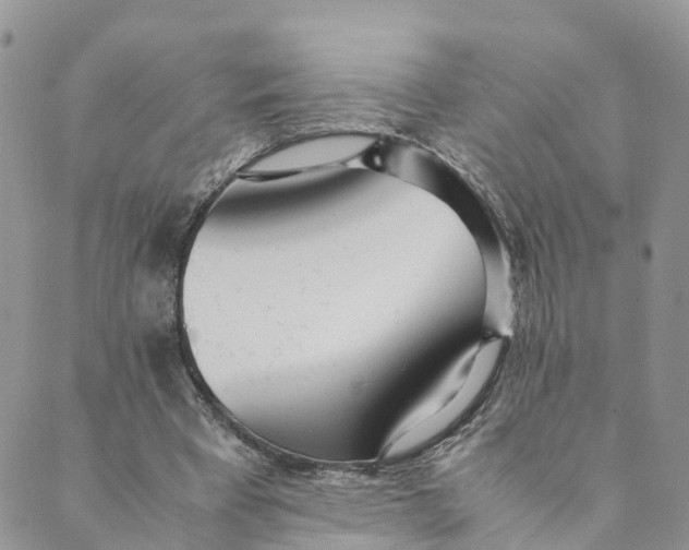 X0000089360393200707061054