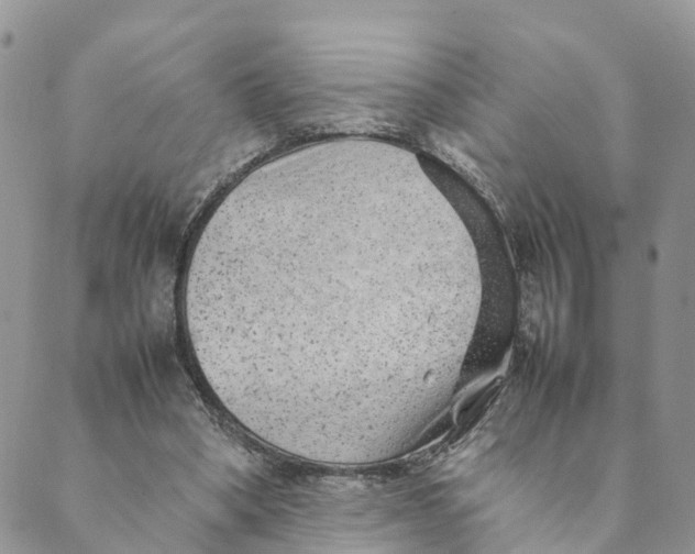 X0000089360394200707061054