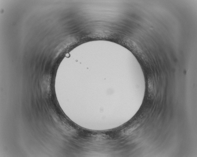 X0000089360396200707061054