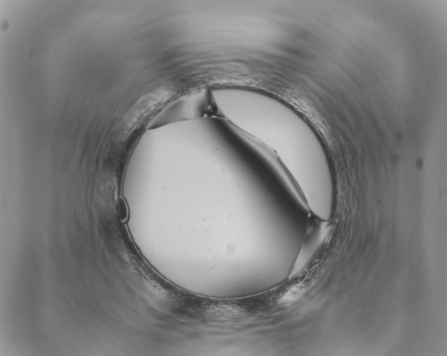 X0000089360397200707061054