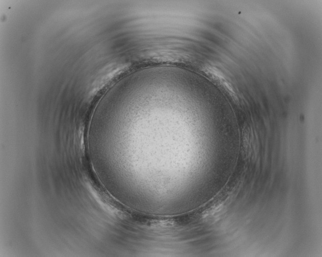 X0000089360398200707061054