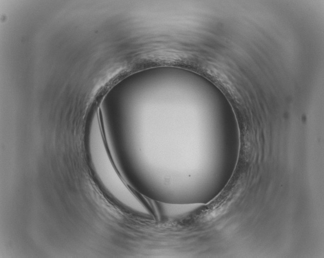 X0000089360399200707061054