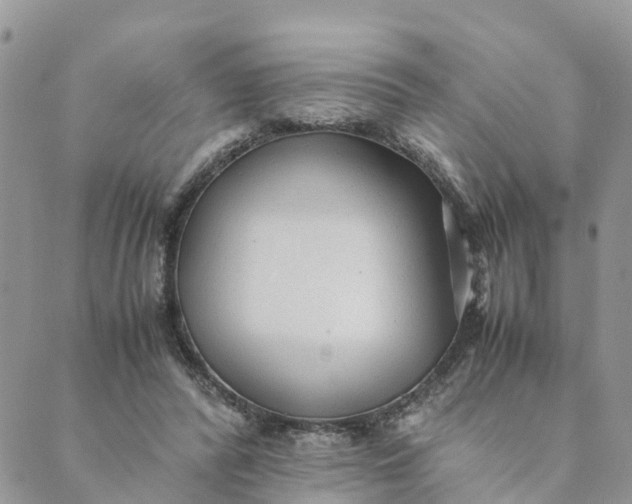 X0000089360400200707061054