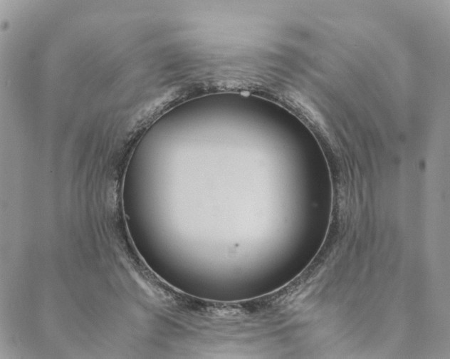 X0000089360401200707061054