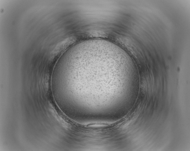 X0000089360402200707061054