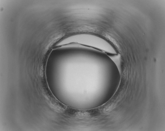 X0000089360403200707061054