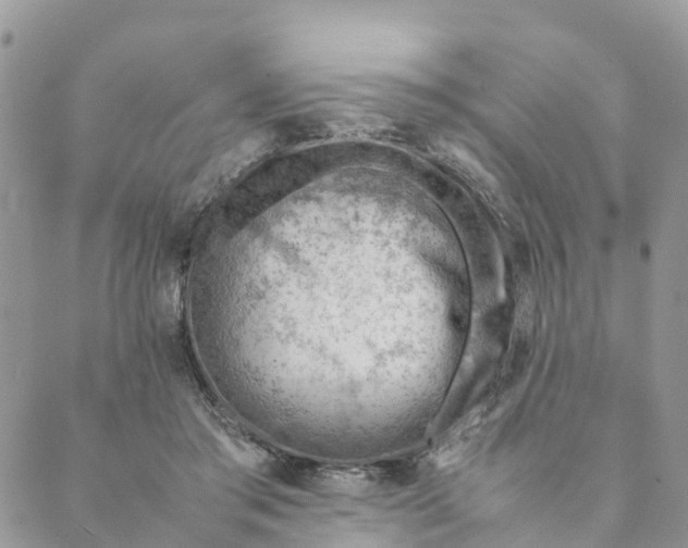 X0000089360405200707061054