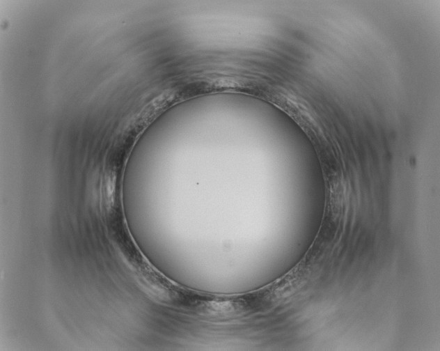 X0000089360406200707061054