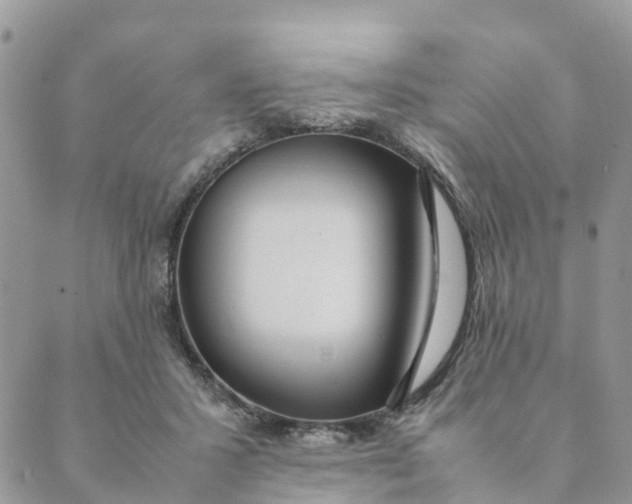 X0000089360407200707061054