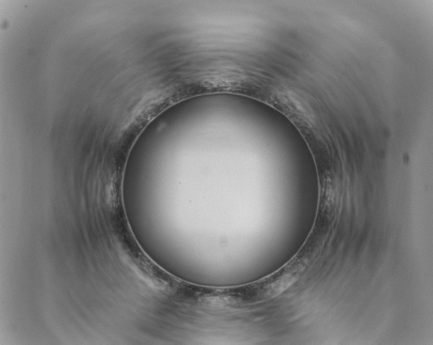 X0000089360408200707061054