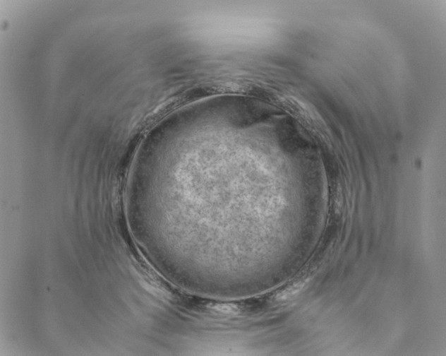 X0000089360409200707061054