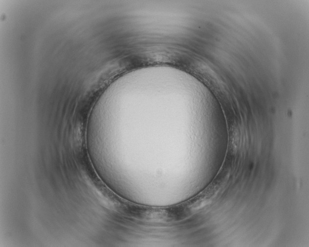 X0000089360410200707061054