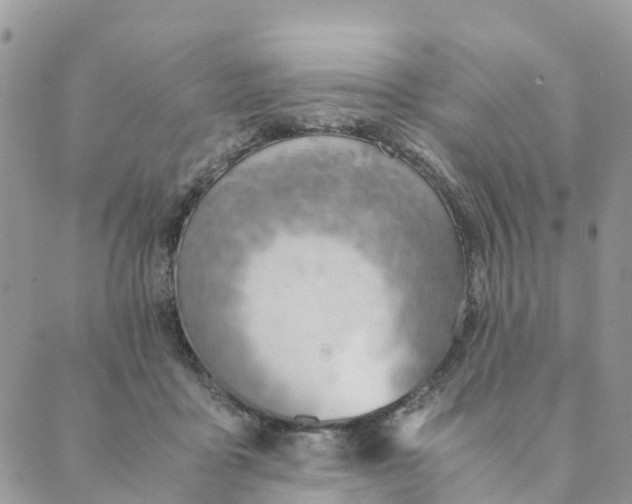 X0000089360411200707061054