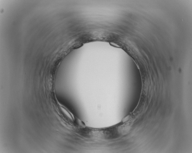 X0000089360413200707061054