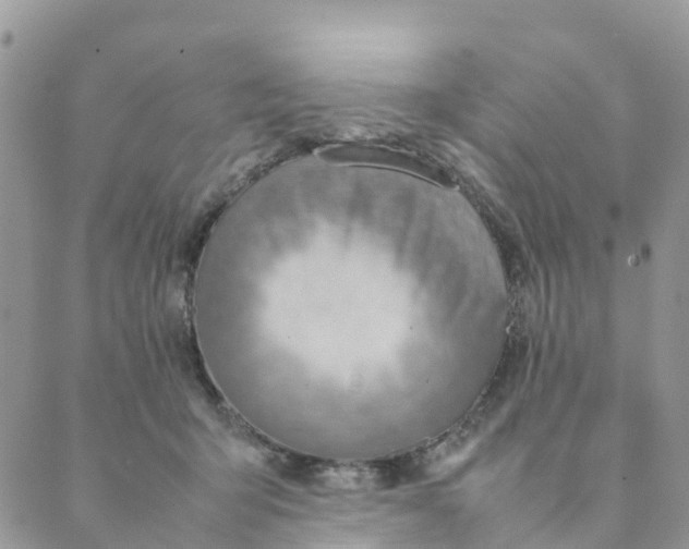 X0000089360415200707061054