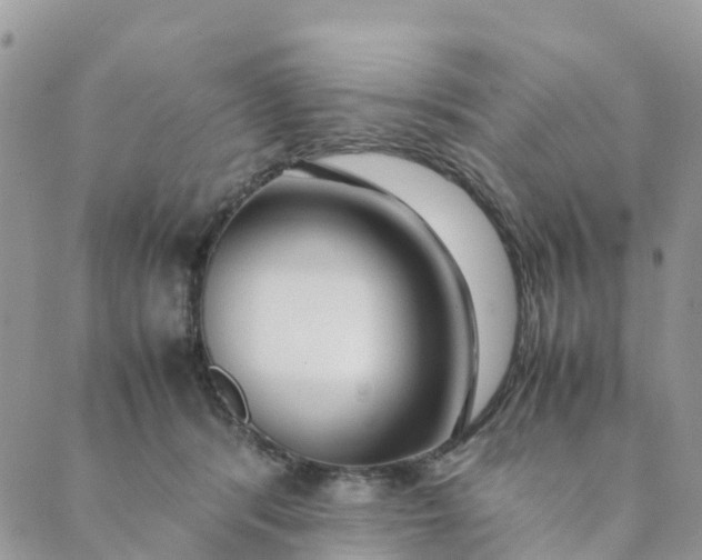 X0000089360416200707061054