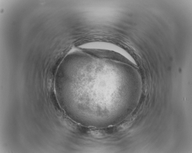 X0000089360417200707061054