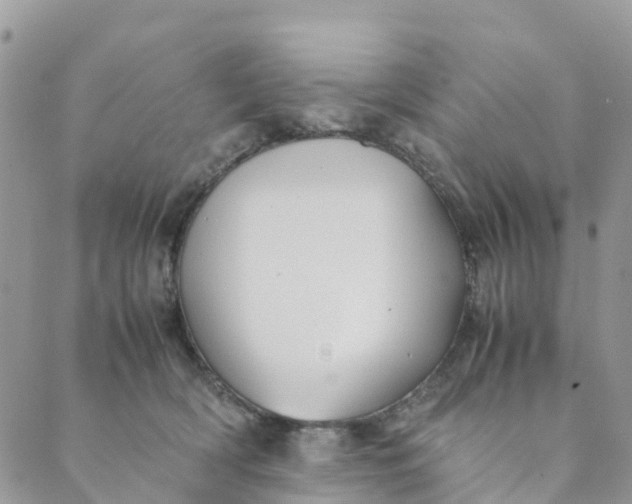 X0000089360418200707061054