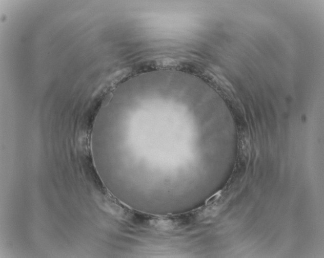 X0000089360419200707061054