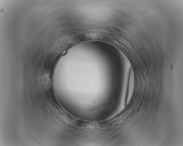 X0000089360420200707061054