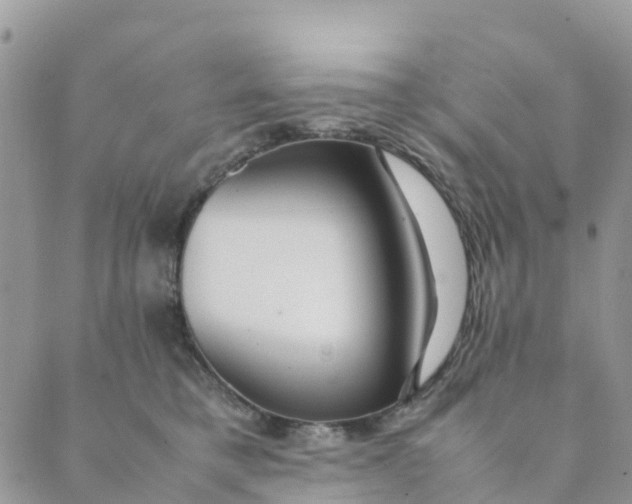 X0000089360421200707061054