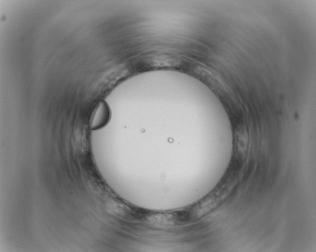 X0000089360422200707061054