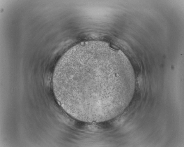 X0000089360423200707061054