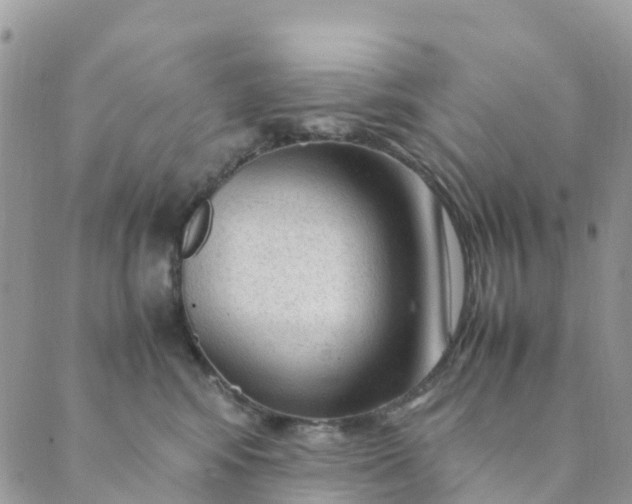 X0000089360424200707061054