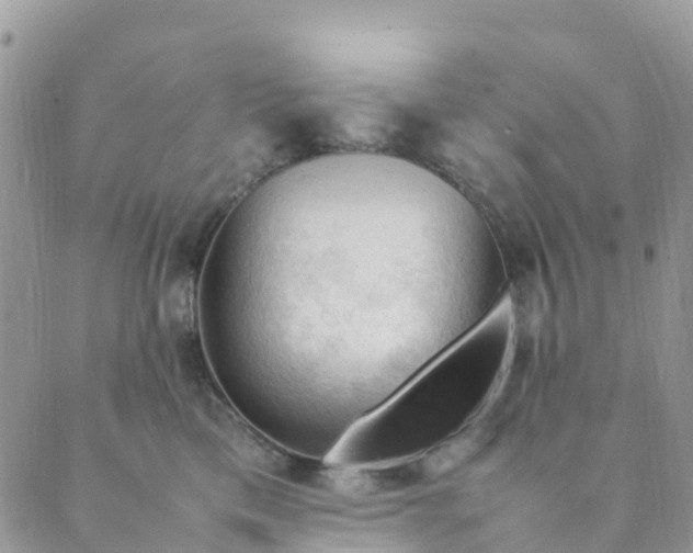 X0000089360425200707061054