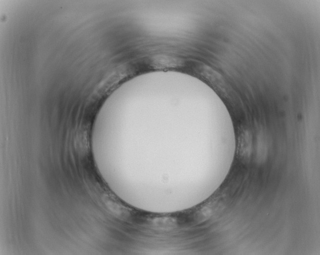 X0000089360426200707061054