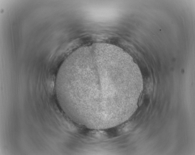 X0000089360427200707061054