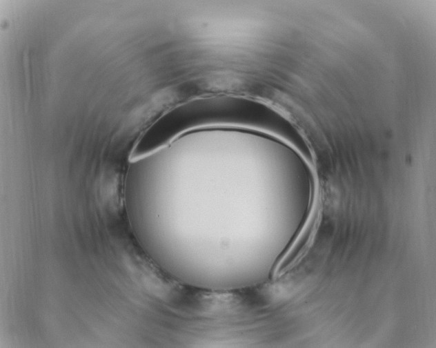 X0000089360428200707061054