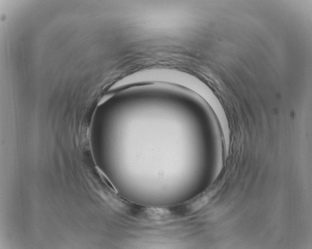 X0000089360429200707061054