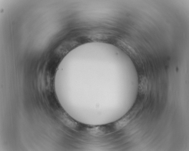 X0000089360430200707061054