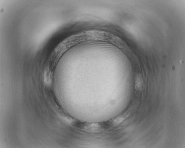 X0000089360431200707061054