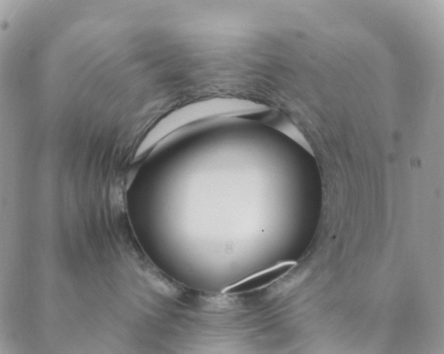 X0000089360432200707061054