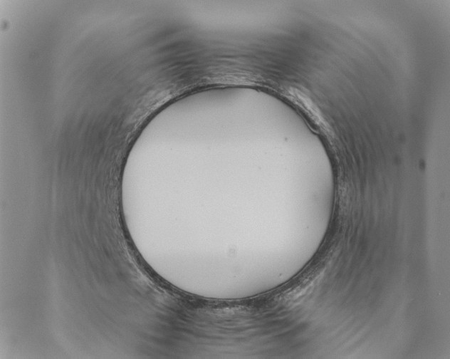 X0000089360433200707061053