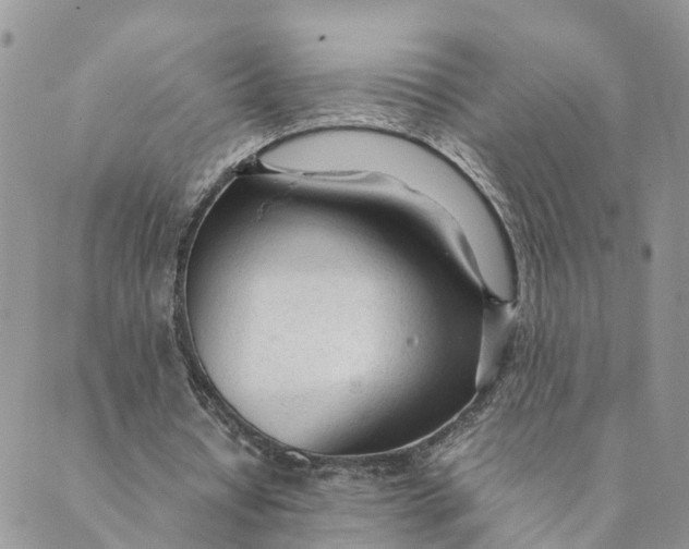 X0000089360434200707061053